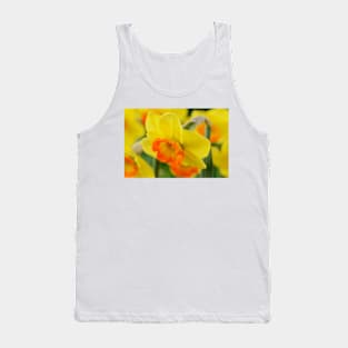 Narcissus  &#39;Bantam&#39;  AGM   Division 2 Large-cupped  Daffodil Tank Top